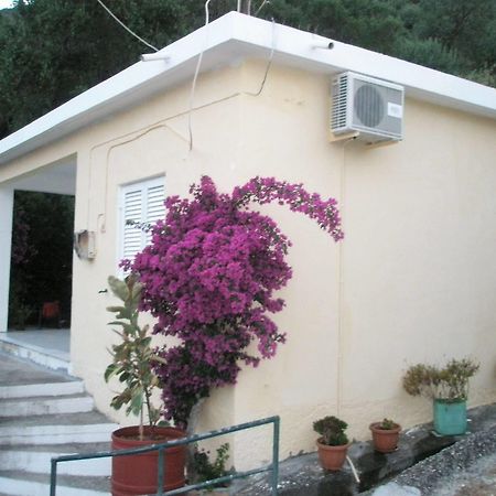 Faliraki Apartments Μπενίτσες Εξωτερικό φωτογραφία