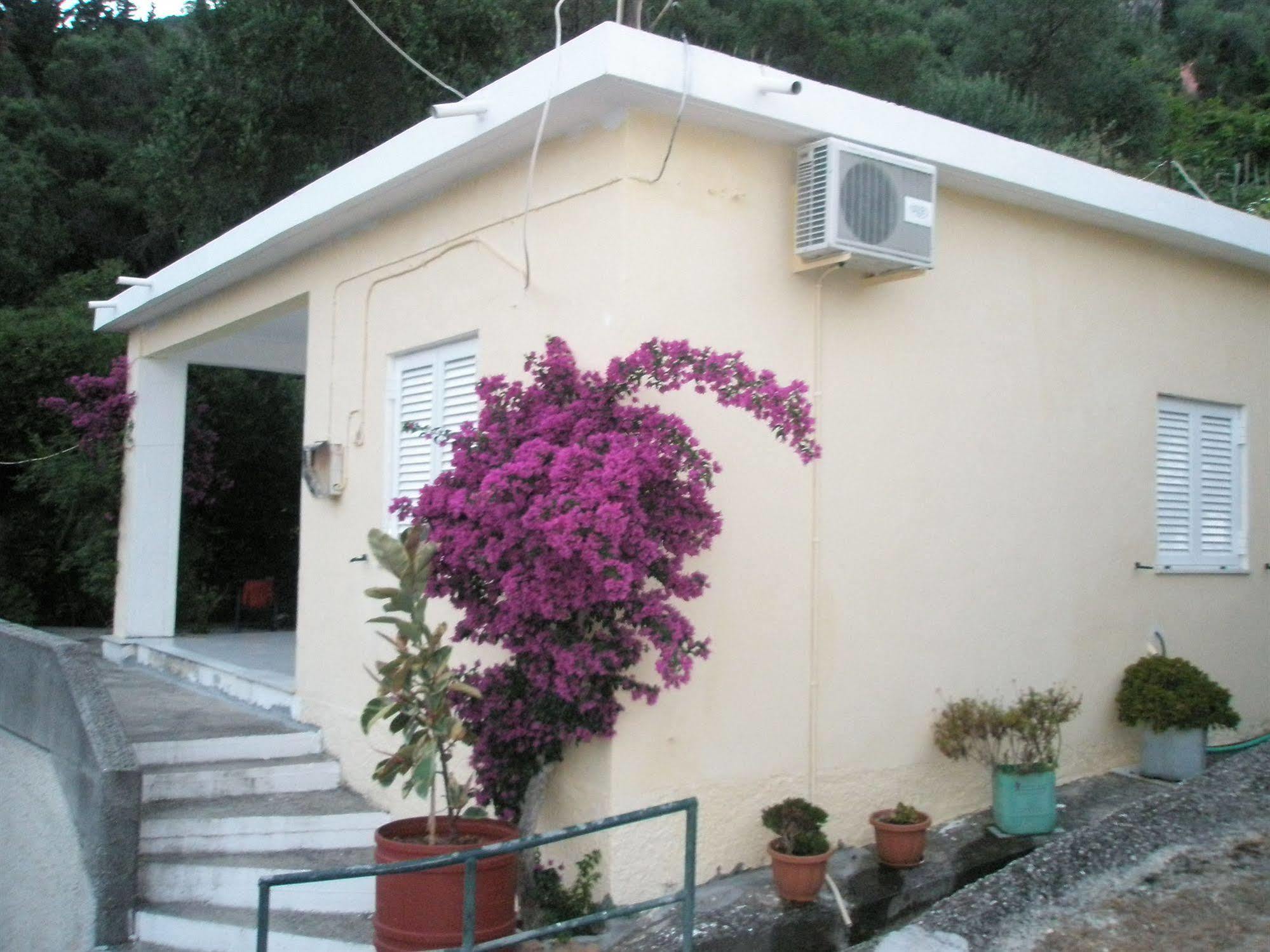 Faliraki Apartments Μπενίτσες Εξωτερικό φωτογραφία